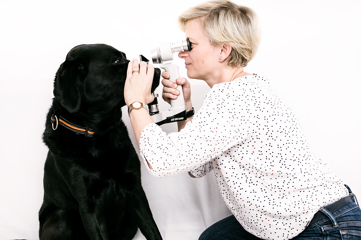 Augengesundheit und Augenkrankheiten beim Hund – mit Dr. Petra Benz