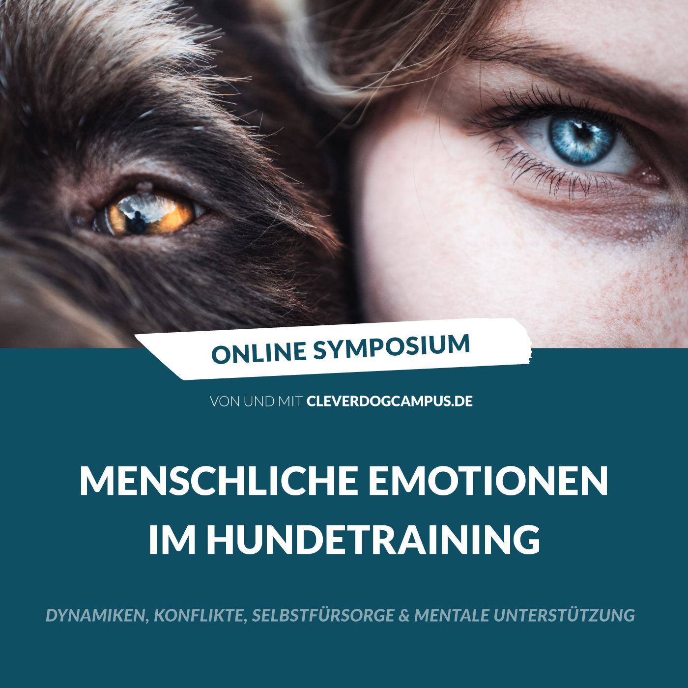 Online-Symposium „Menschliche Emotionen im Hundetraining“