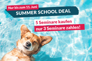 Summer School 2025