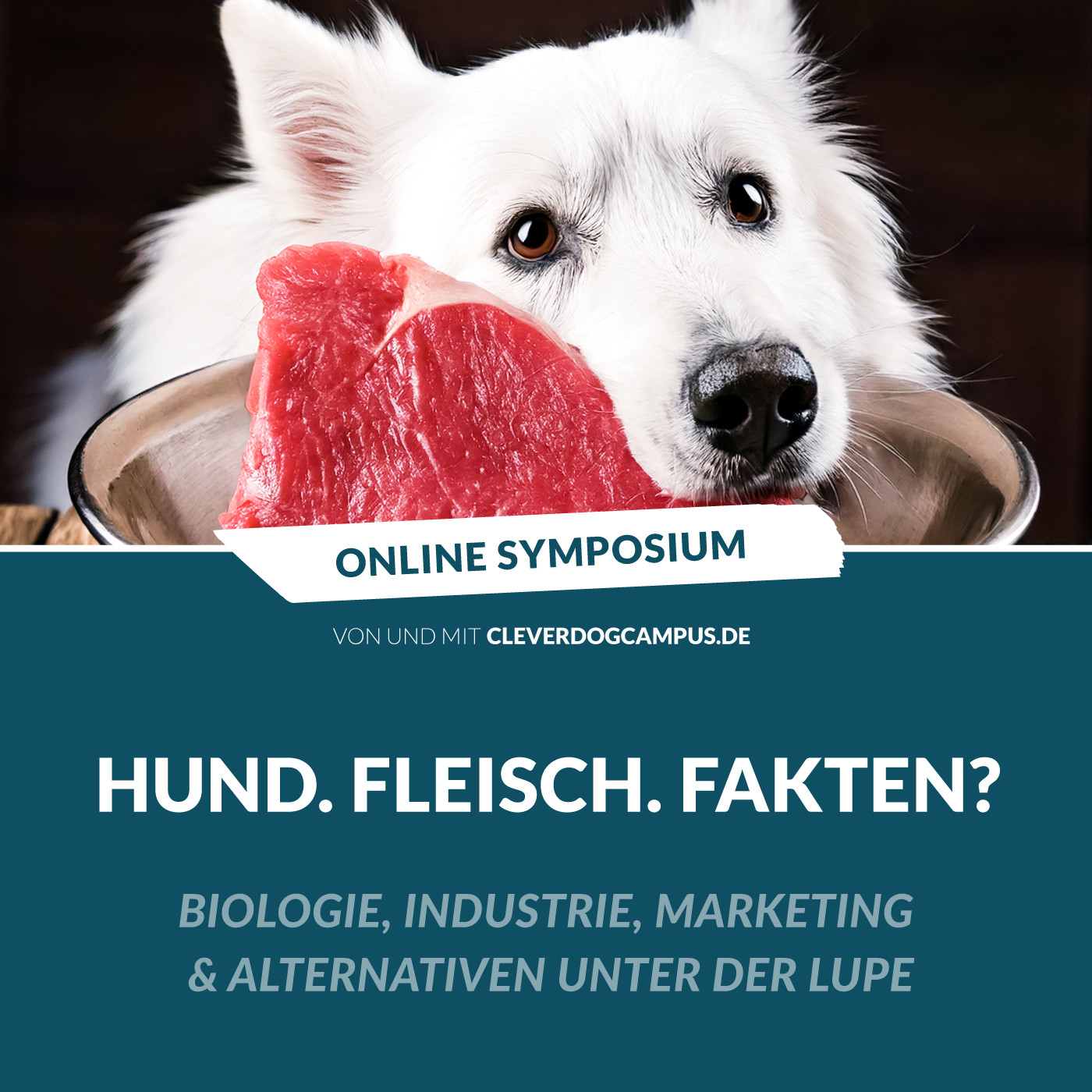 Online-Symposium „Hund.Fleisch.Fakten?“