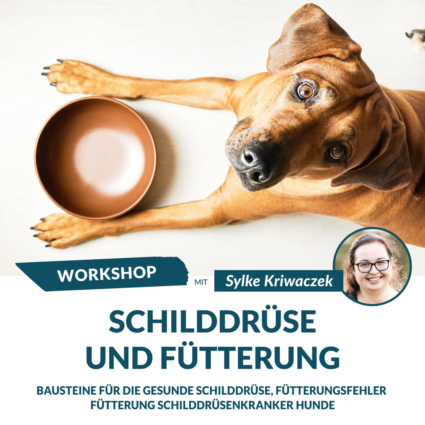 schilddruese-workshop-cover.jpg